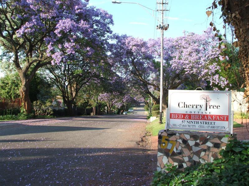 Cherry Tree Cottage B&B Linden Johannesburg Exteriér fotografie