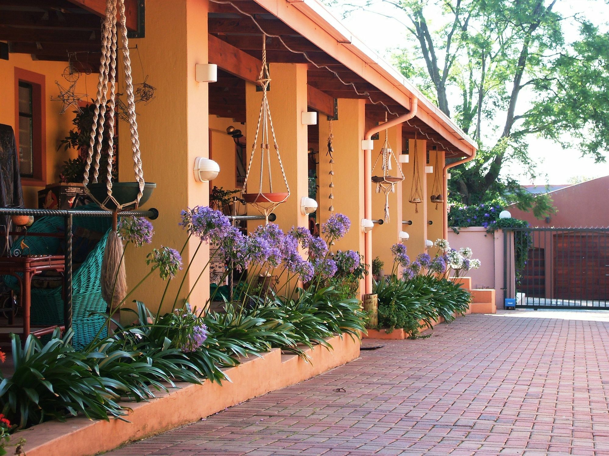 Cherry Tree Cottage B&B Linden Johannesburg Exteriér fotografie